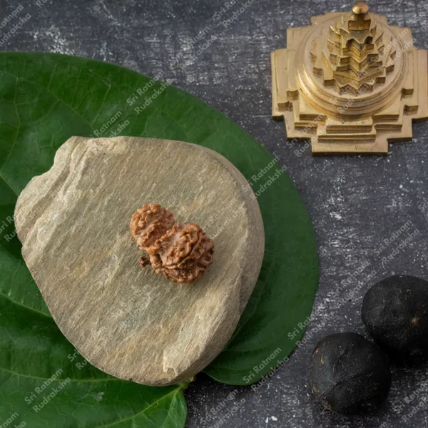 Garbh_Gauri