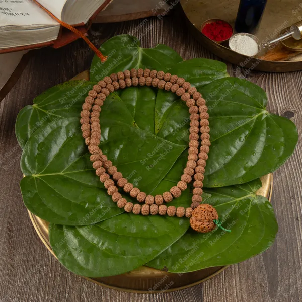 5_Mukhi_With_Big_Sumeru