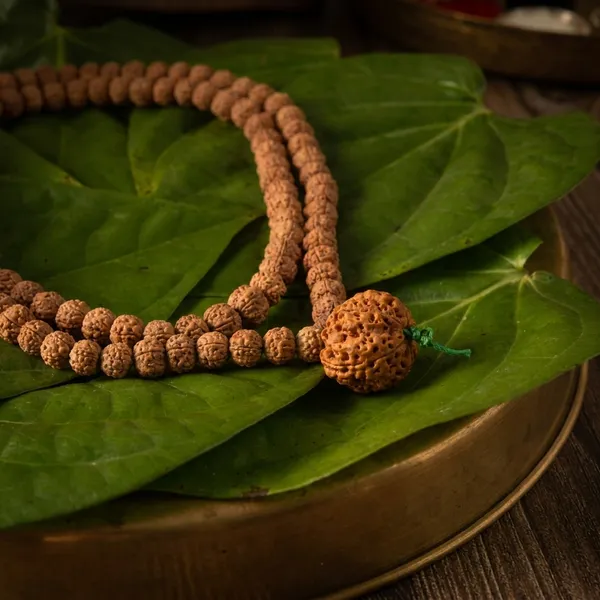 5_Mukhi_With_Big_Sumeru