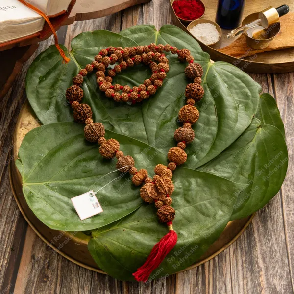 1-14_Mukhi_Kantha_Nepali