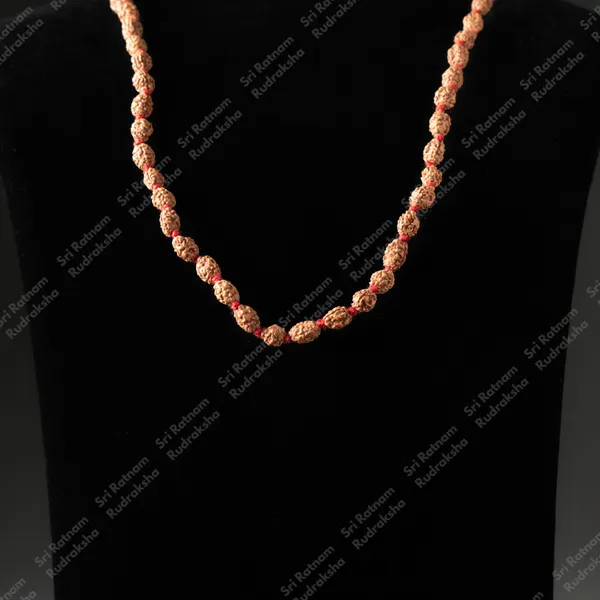 3_Mukhi_Mala