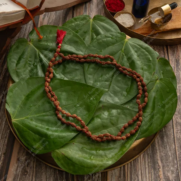 3_Mukhi_Mala