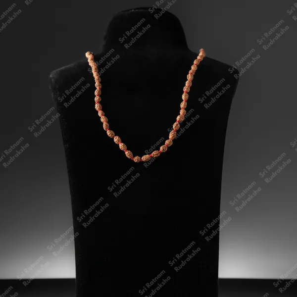 3_Mukhi_Mala
