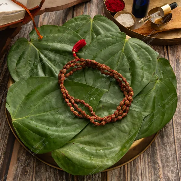 3_Mukhi_Mala
