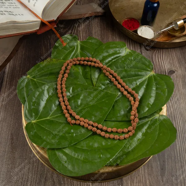 4_Mukhi_Mala