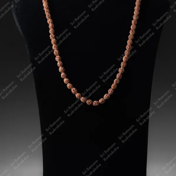 4_Mukhi_Mala