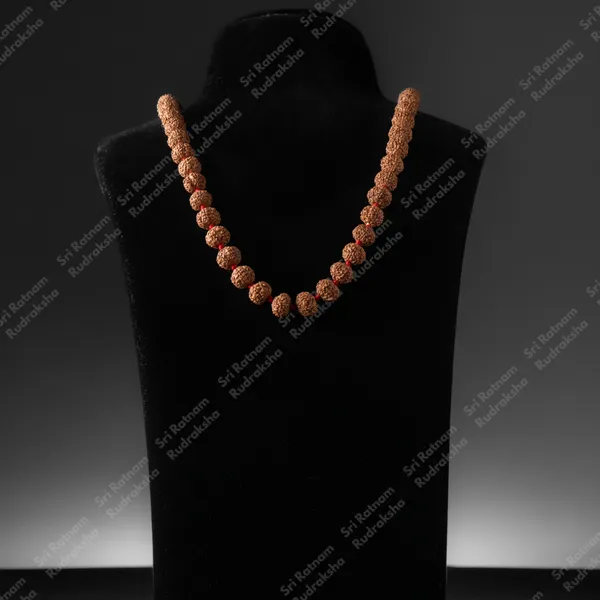 7_Mukhi_Mala_12_Mm