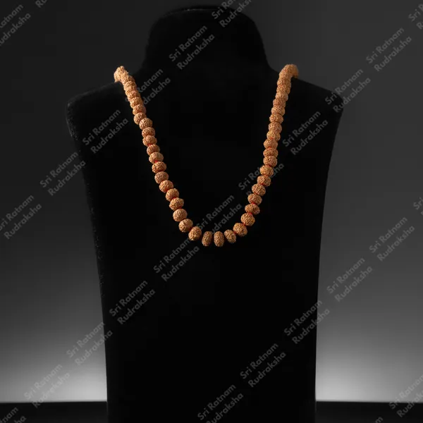 8_Mukhi_9.5_-_10_Mm_Mala