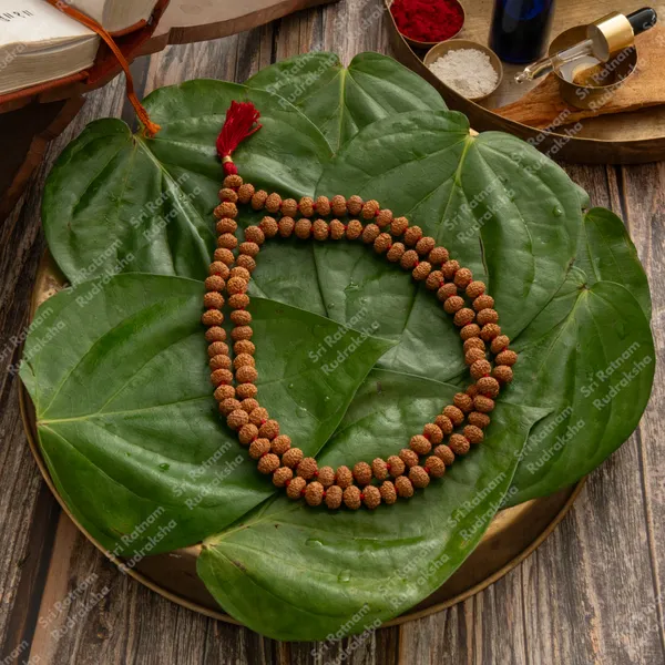 8_Mukhi_9.5_-_10_Mm_Mala