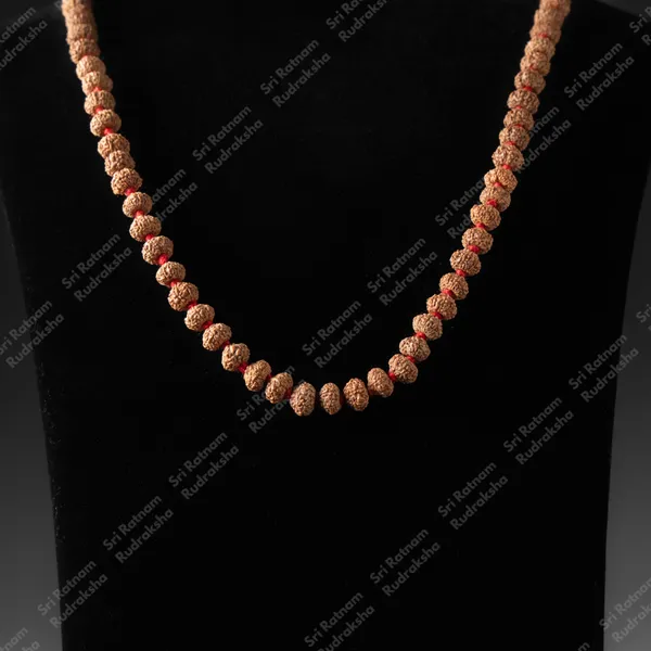 9_Mukhi_8_Mm_Mala