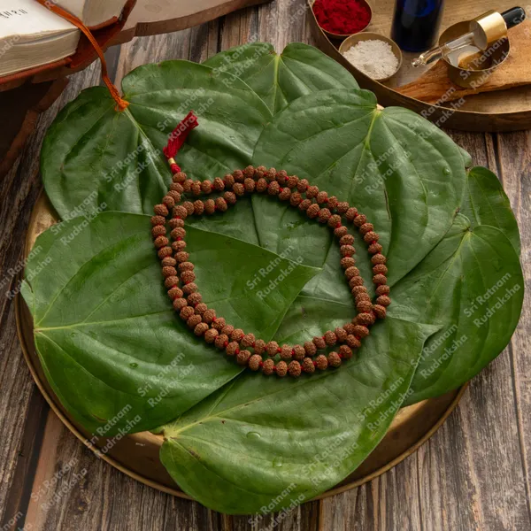 9_Mukhi_8_Mm_Mala