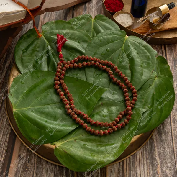 10_Mukhi_Mala