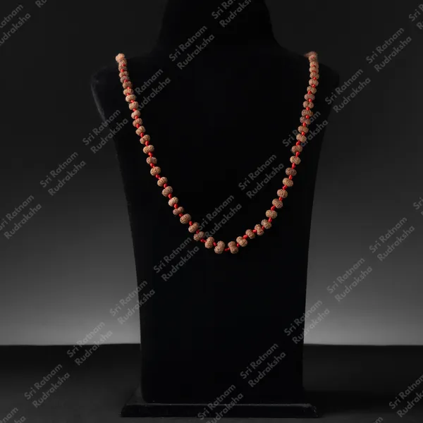 12_Mukhi_Mala