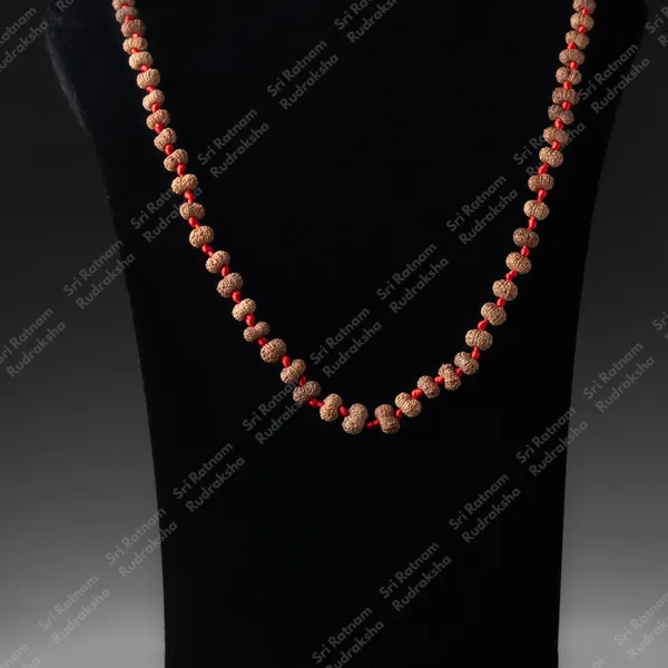 12_Mukhi_Mala
