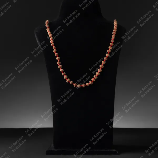 13_Mukhi_Mala