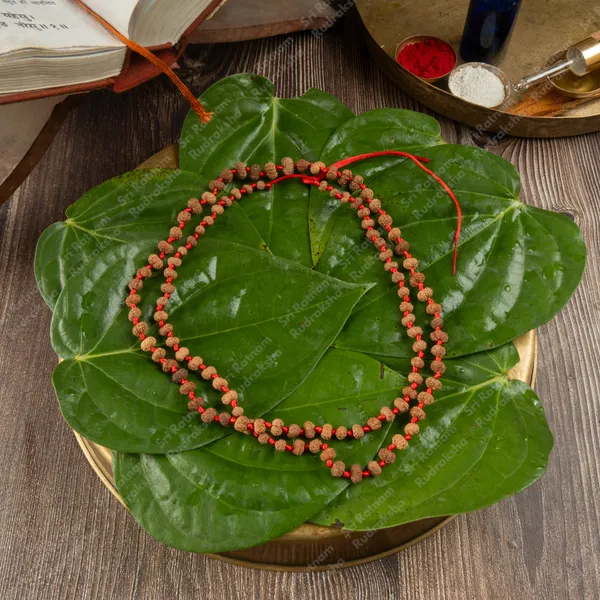 13_Mukhi_Mala