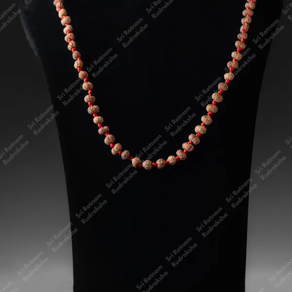 13_Mukhi_Mala