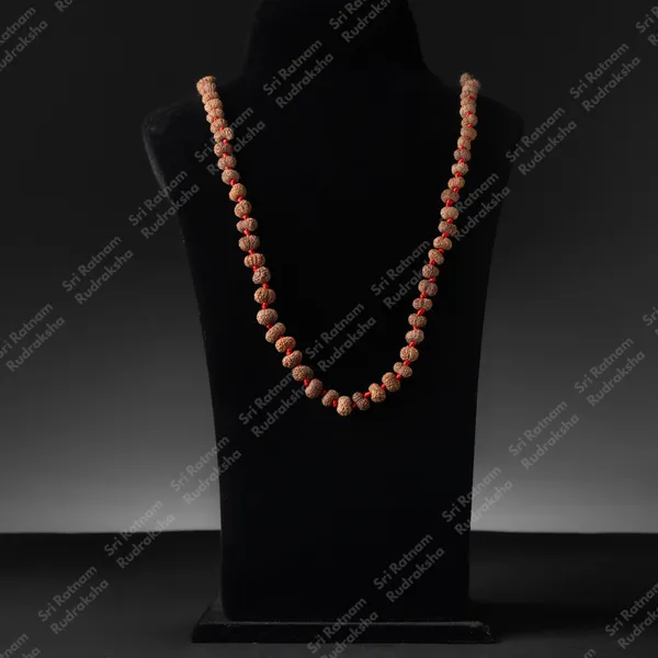 14_Mukhi_Mala