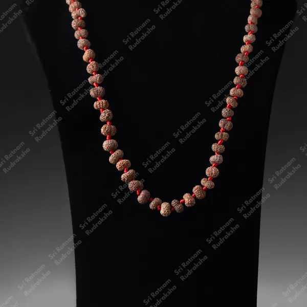 14_Mukhi_Mala