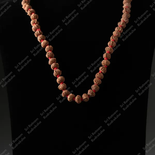 Ganesh_Mukhi_Mala