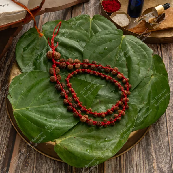 Gauri_Shankar_Indonesia_Mala