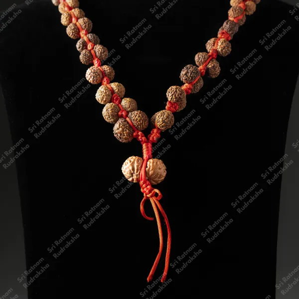 Gauri_Shankar_Indonesia_Mala