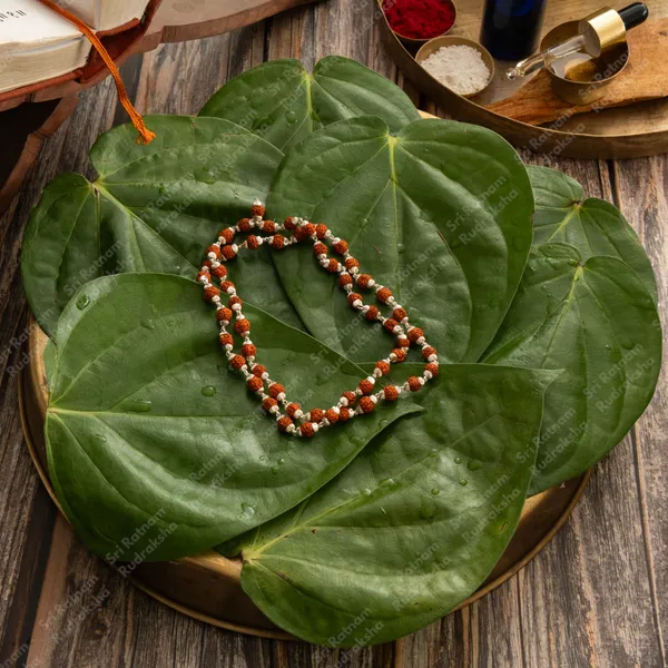 Silver_Rudraksh_Mala