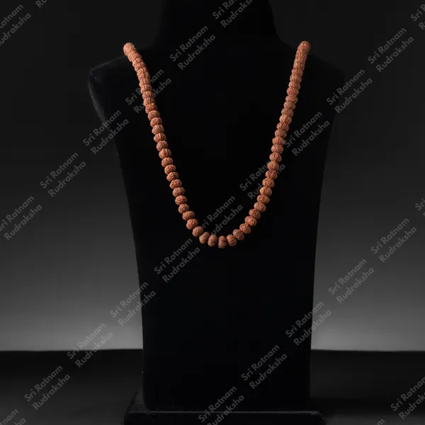 11_Mukhi_Mala