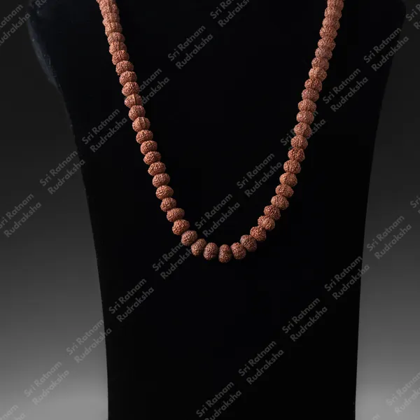 11_Mukhi_Mala