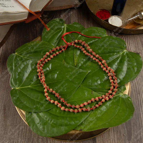 11_Mukhi_Mala