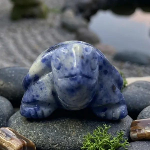 Sodalite_Mini_Turtle