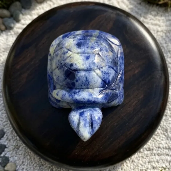 Sodalite_Mini_Turtle