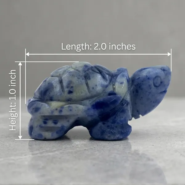 Sodalite_Mini_Turtle