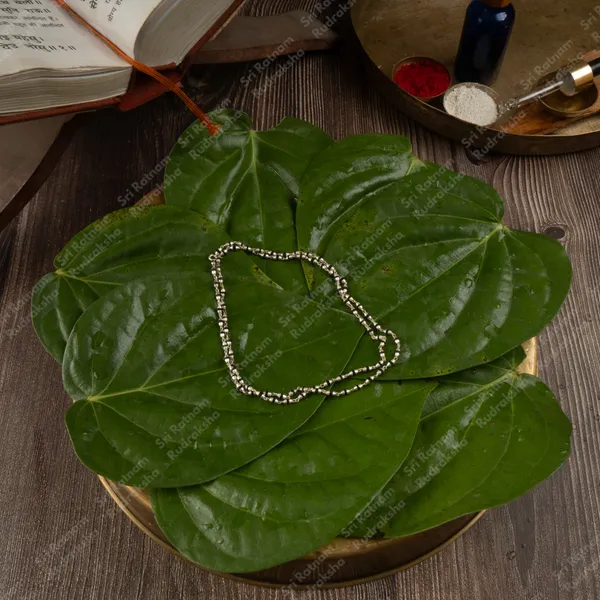 Tulsi_Mala_Black_Small_Silver