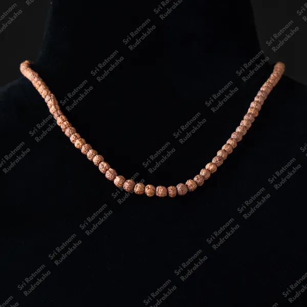 Motif_Mala