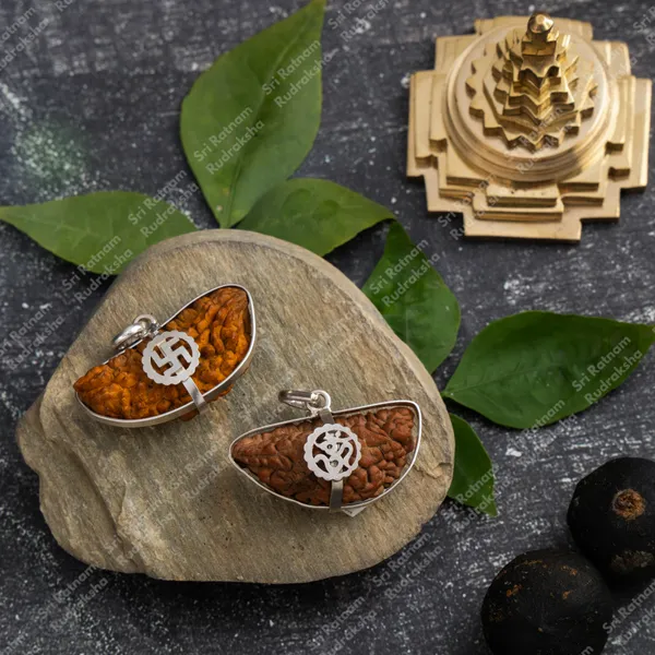 1_Mukhi_Rudraksh_-_South_India