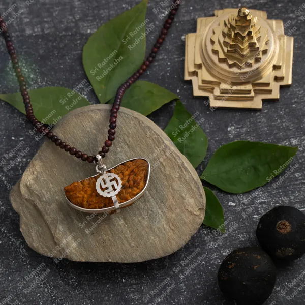 1_Mukhi_Rudraksh_-_South_India