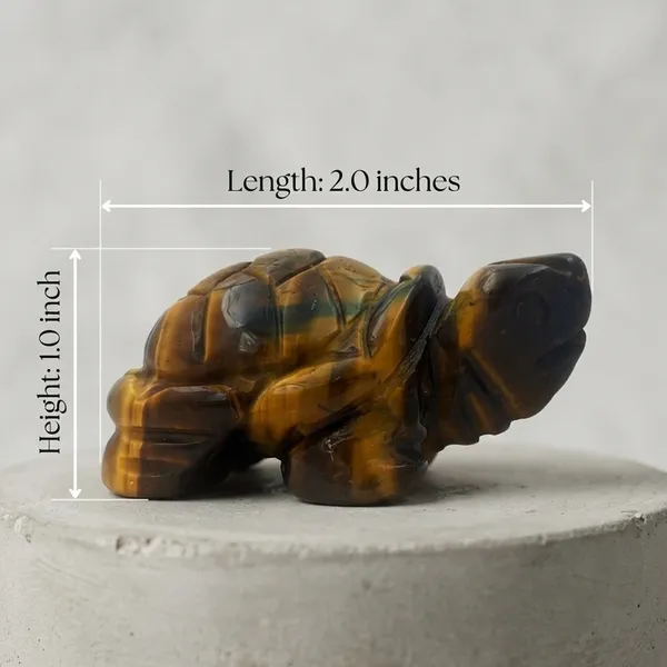 Tiger's_Eye_Mini_Turtle