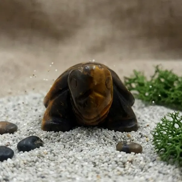 Tiger's_Eye_Mini_Turtle