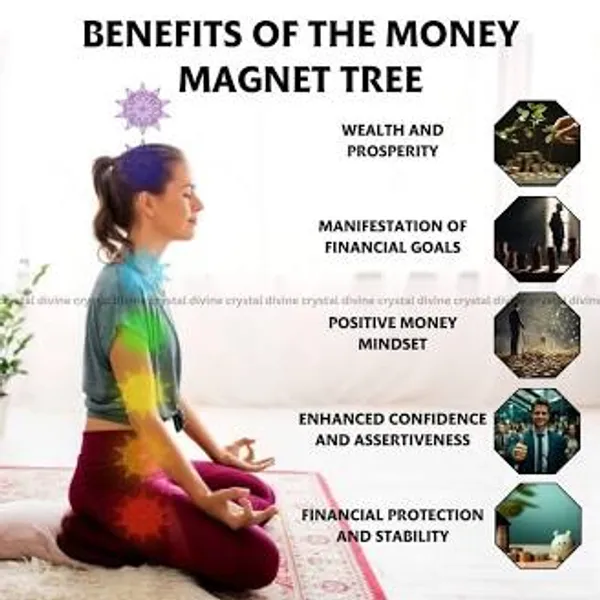 Money_Magnet_Tree