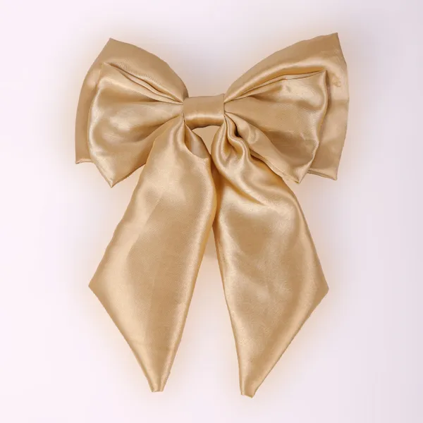 Golden_Satin_Silk_Double_Bow_Alligater_Hair_Clip_For_Women_(Pack_of_1)