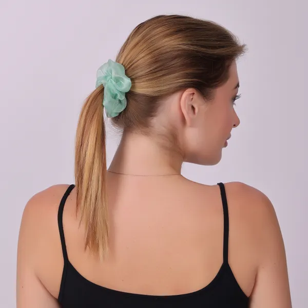 Premium_Organza_Hair_Scrunchies_For_Girls_Set_Of_6_Pcs