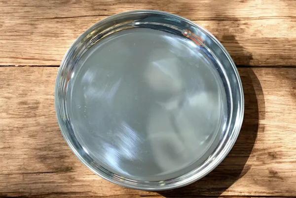 Silver_German_Silver_Premium_&_Elegant_Plain_Plate