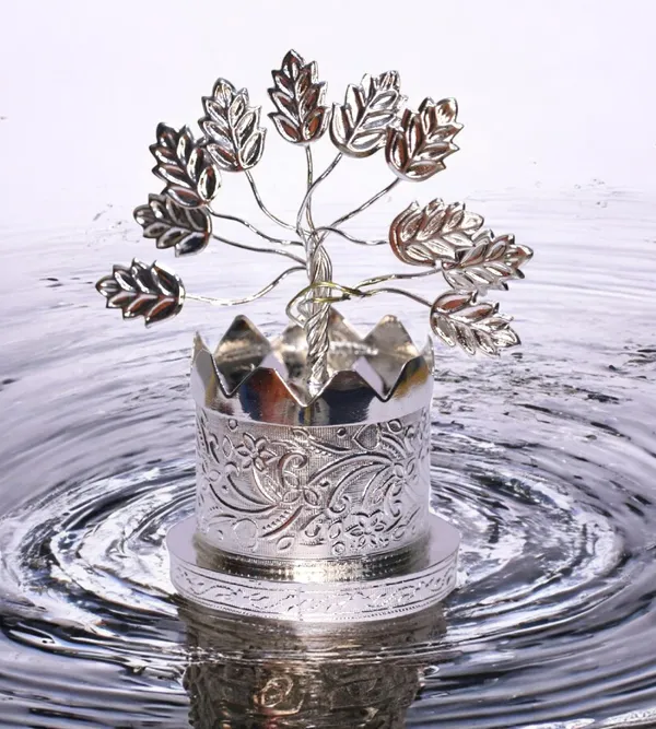 Silver_Plated_Premium_&_Elegant_Kalash_&_Pots