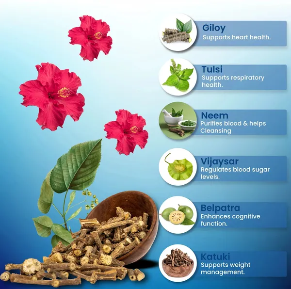 Belite_Herbs_Diab-Tease_+_Amla_Juice_Combo_|_Supports_Blood_Sugar_Control_&_Boosts_Immunity_(2_x_1000_ml)