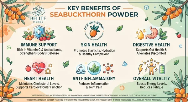 Sea_Buckthorn_powder-_Pack_of_2