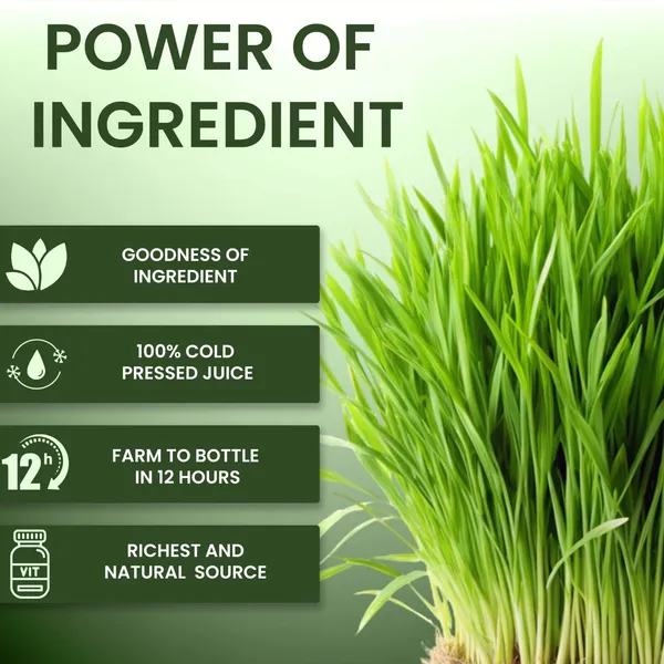 Belite_Herbs_Wheatgrass+Aloevera_Juice_combo|Detoxification_&_Immunity_|_Hair_&_Skin_Health_(2_x_1000_ml)