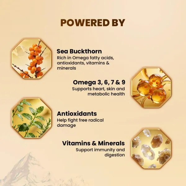 Sea_Buckthorn_powder-_Pack_of_2