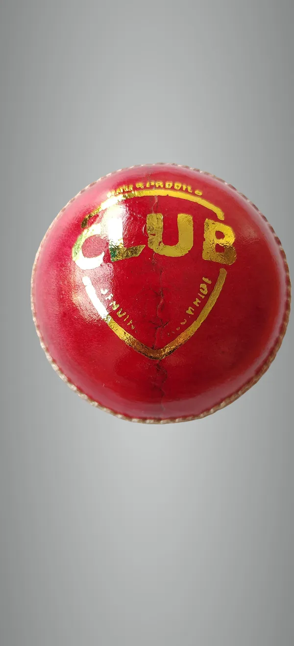 Tj_Clubleather_Cricket_Leather_Ball_For_Men_&_Women