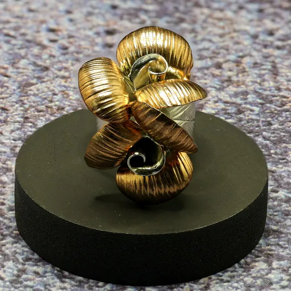 RINGS_>_LADIES_RINGS